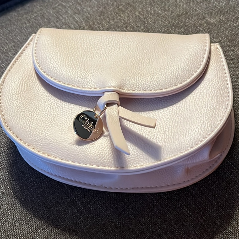 CHLOE MINI MAKEUP BAG/CLUTCH